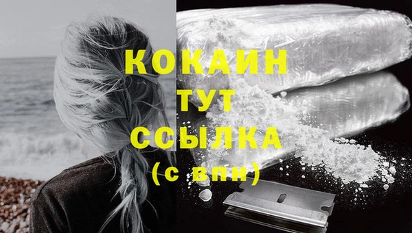 стафф Беломорск