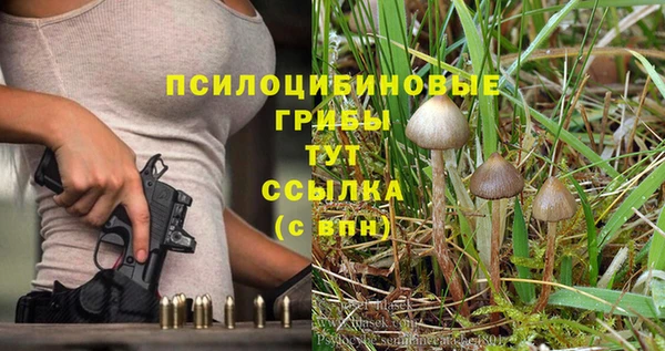 стафф Беломорск