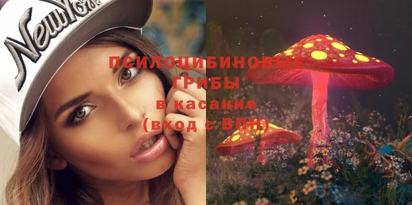 стафф Беломорск