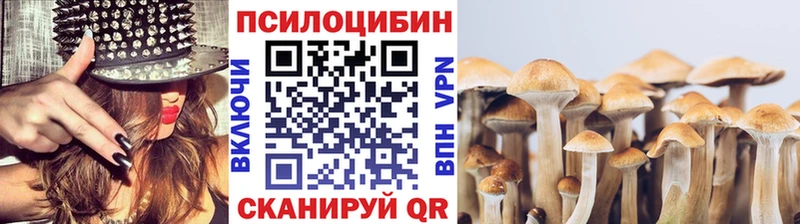 Псилоцибиновые грибы мицелий купить цена blacksprut ссылки Дюртюли