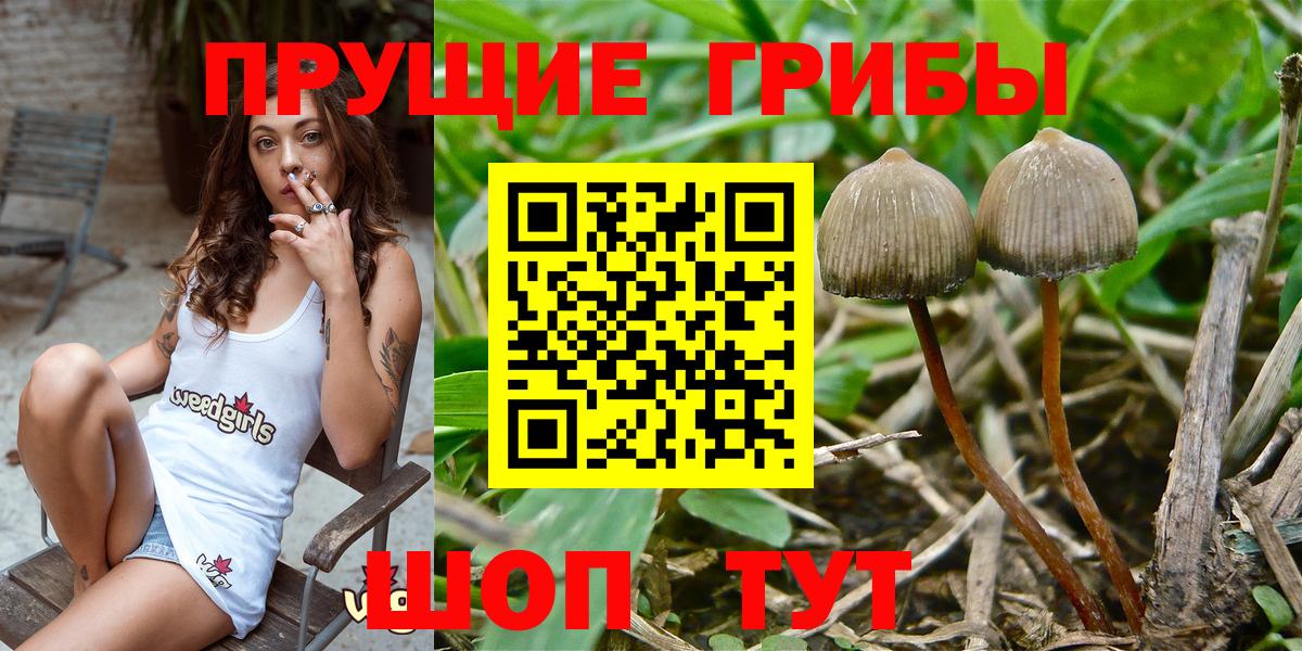 ГАШИШ  NBOMe  MDMA  Меф   Дюртюли  Вход с VPN  Конопля 