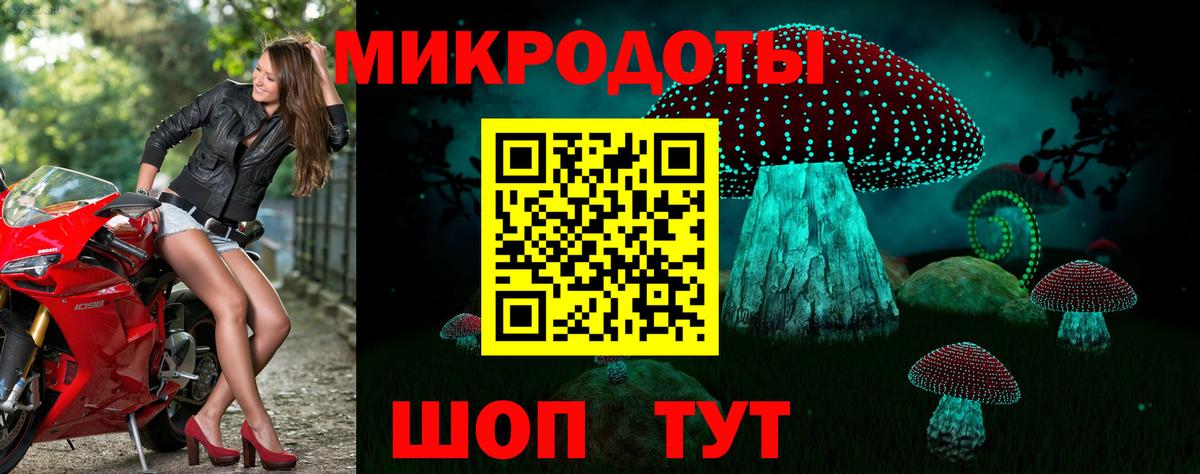 Галлюциногенные грибы Psilocybe  закладка  Дюртюли  Псилоцибиновые грибы прущие грибы  Вход с VPN 