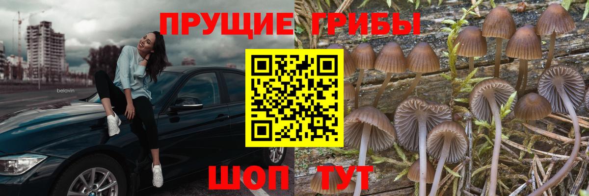 Псилоцибиновые грибы мухоморы  Дюртюли  Псилоцибиновые грибы Magic Shrooms 